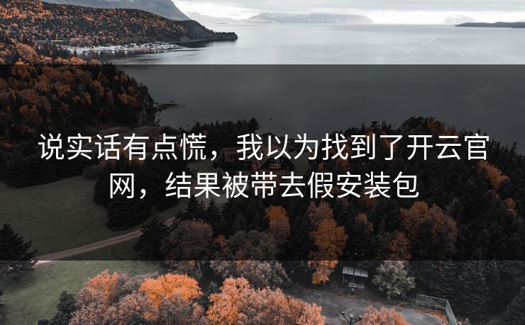 说实话有点慌，我以为找到了开云官网，结果被带去假安装包