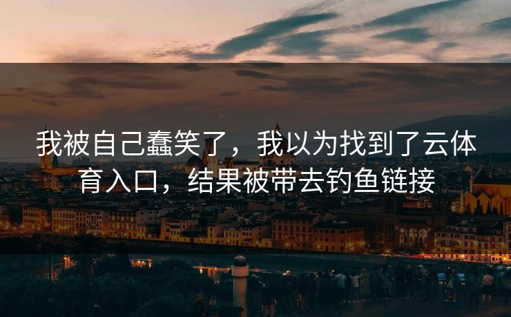 我被自己蠢笑了，我以为找到了云体育入口，结果被带去钓鱼链接