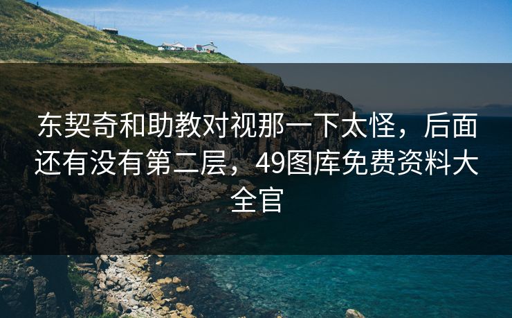 东契奇和助教对视那一下太怪，后面还有没有第二层，49图库免费资料大全官