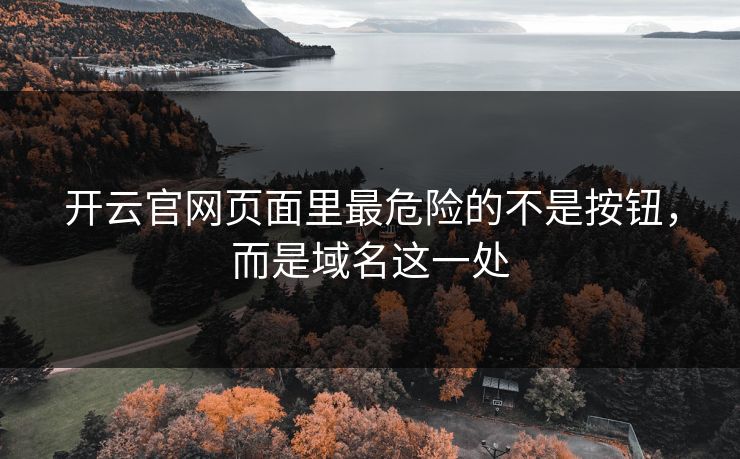 开云官网页面里最危险的不是按钮，而是域名这一处